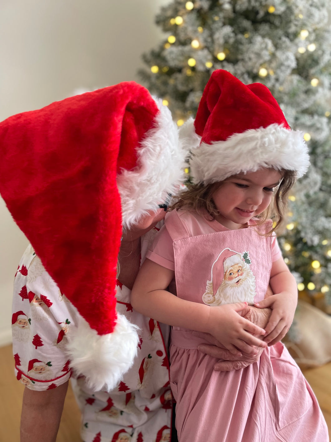 Adults Plush Santa hat